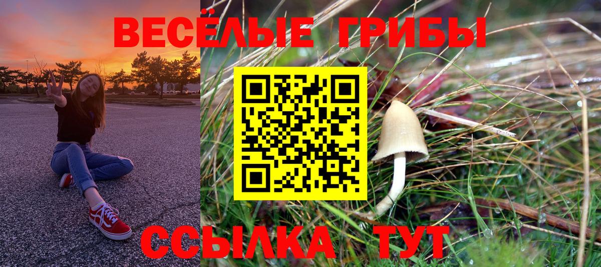 Псилоцибиновые грибы Psilocybe  Псилоцибиновые грибы GOLDEN TEACHER  Кумертау  Вход с VPN 